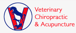WINNIE DRESCHEL  Veterinary practice for chiropratic & acupuncture